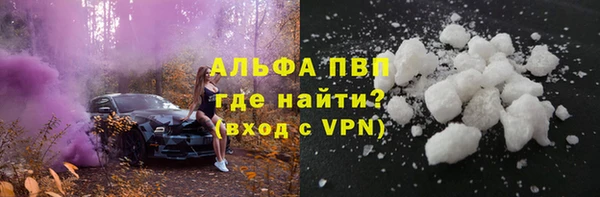 твердый Ладушкин